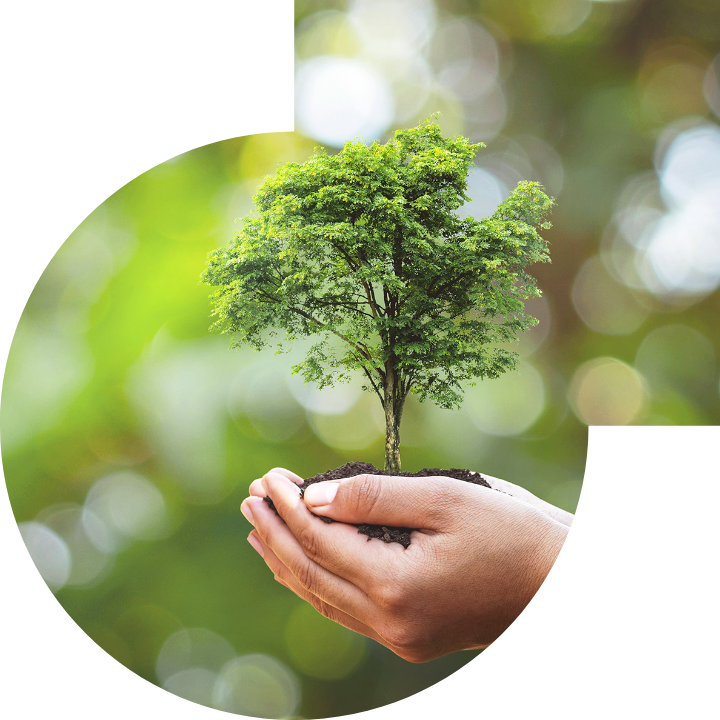 关怀人类、文化、环境与社会